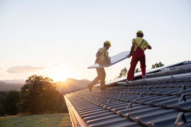 Best Roof Moss and Algae Removal  in Pacheco, CA